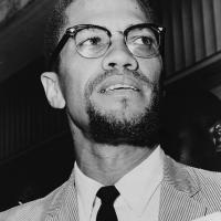 What Would Malcolm X Say About Gaza and Black Resistance in the US Today? | Truthout